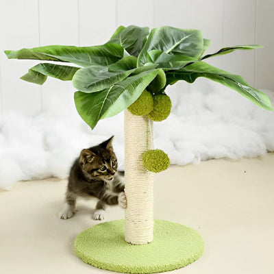 Griffoir pour chat - petit arbre