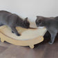 Griffoir pour chat | Sisal