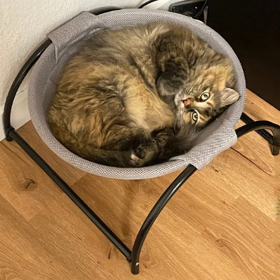 Hamac chat | Respirant