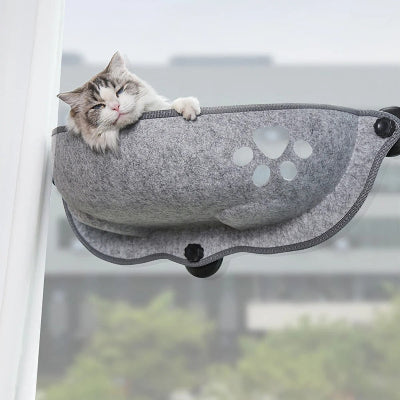 Hamac chat| Greypaw™