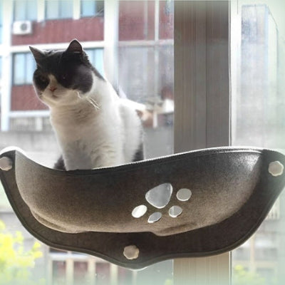 Hamac chat| Greypaw™