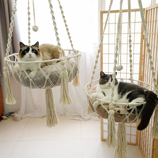 Hamac chat
