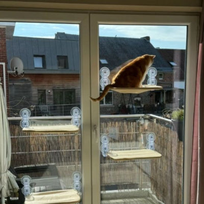 Hamac pour chat - pliable Hamazen™