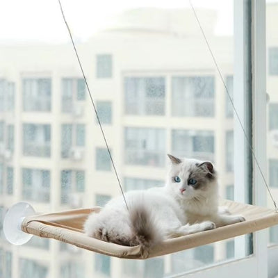 Hamac pour chat |