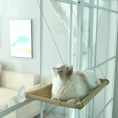 Hamac pour chat |