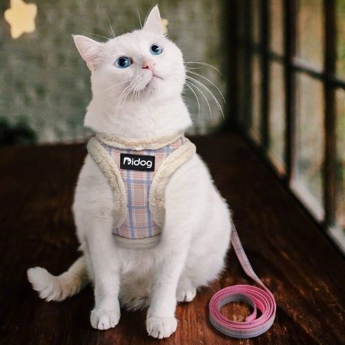 Harnais pour chat doux