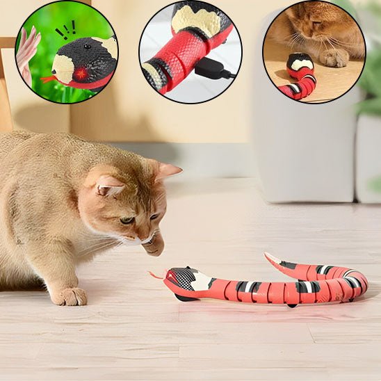 Jouet pour chat