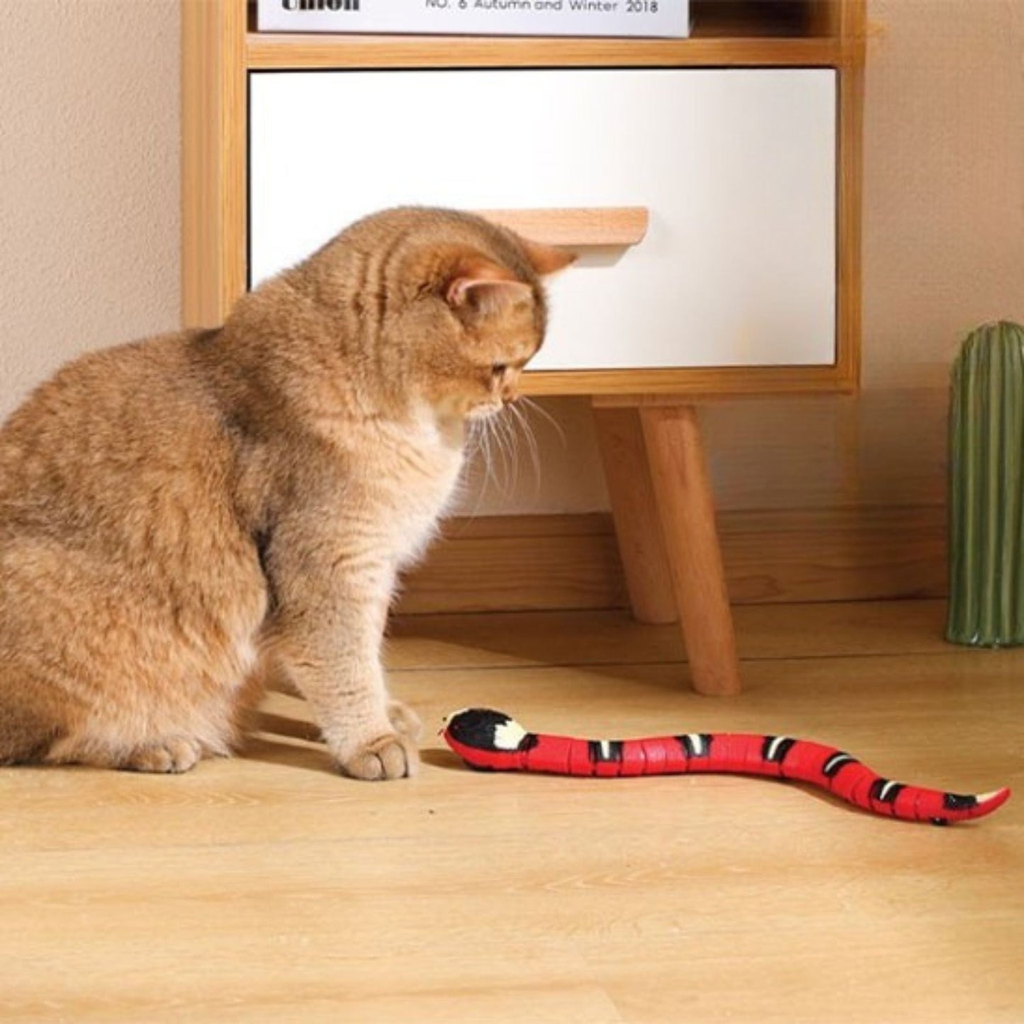 Jouet pour chat