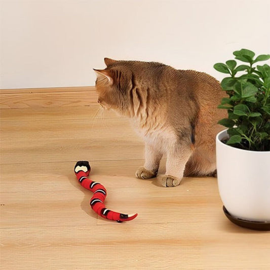 Jouet pour chat
