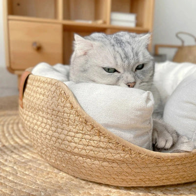 Lit pour chat | 2-en-1