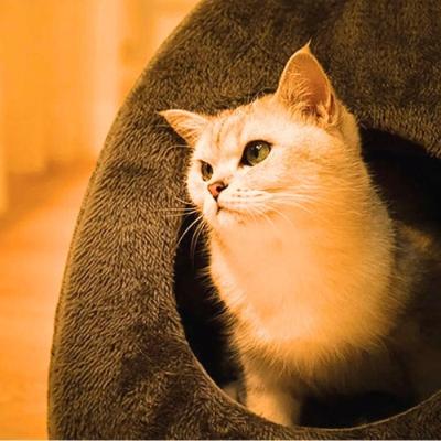 Niche pour chat | SOFTYGLOO™