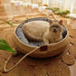 Panier en osier pour chat - tissé