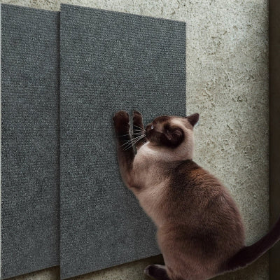 Protection canapé chat