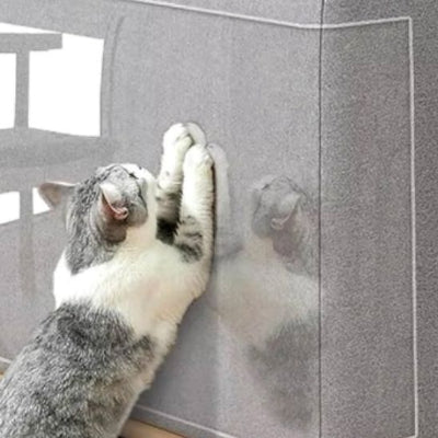 Protection canapé chat