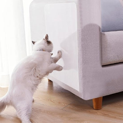 Protection canapé chat