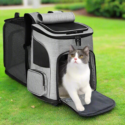 Sac à dos chat - extensible