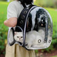 Sac à dos pour chat - transparent