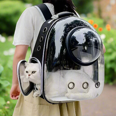 Sac à dos pour chat - transparent
