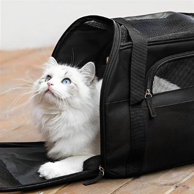 Sac transport chat - pliable