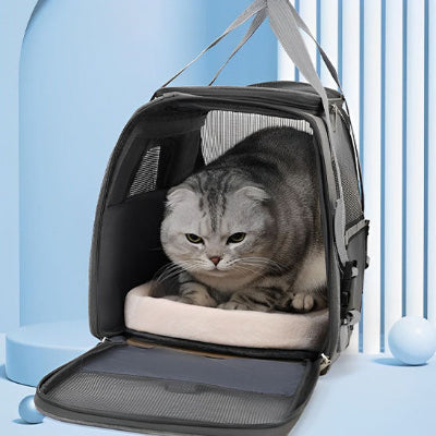 Sac transport chat - pliable