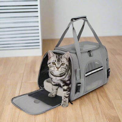 Sac transport chat - pliable