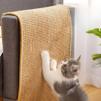 Griffoir chat | PROTECT-GRIF™